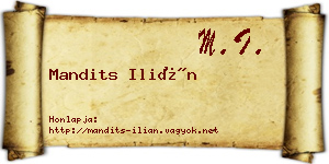 Mandits Ilián névjegykártya